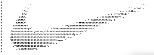 nike robots.txt file with a swoosh in ASCII