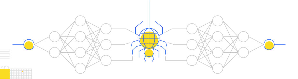 Spider web