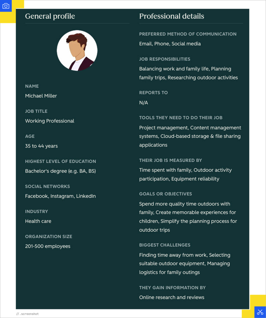Example of a persona built in Hubspot