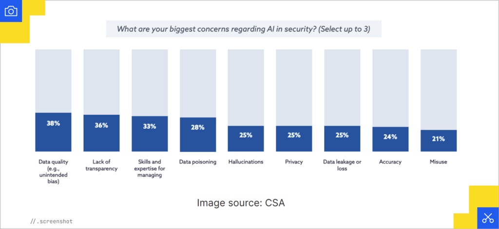Biggest AI Concerns